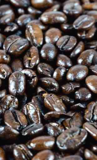 Learn Roasting Coffee 4