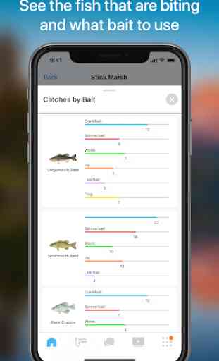 Netfish - Fishing Forecast App 2