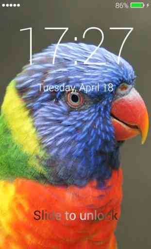 Parrot Lock Screen 1