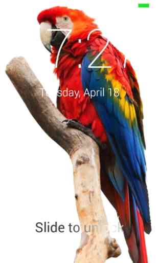 Parrot Lock Screen 2