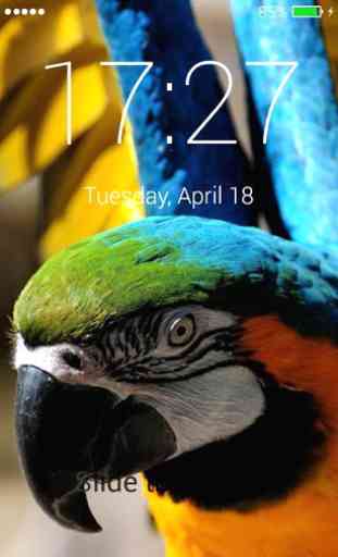 Parrot Lock Screen 3