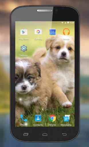 Puppy Live Wallpapers 1