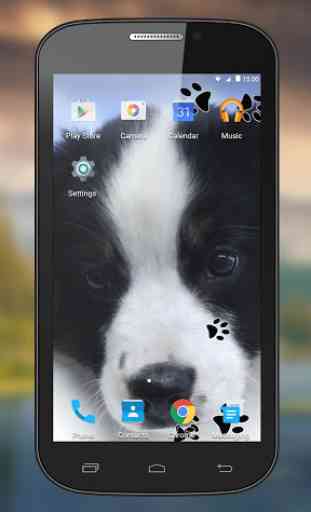 Puppy Live Wallpapers 2
