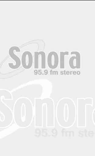 Radio Sonora 95.9 FM 1