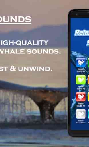 Relaxing Whale Sounds 1