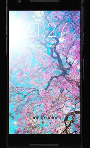 Sakura Tree Lock Screen 3