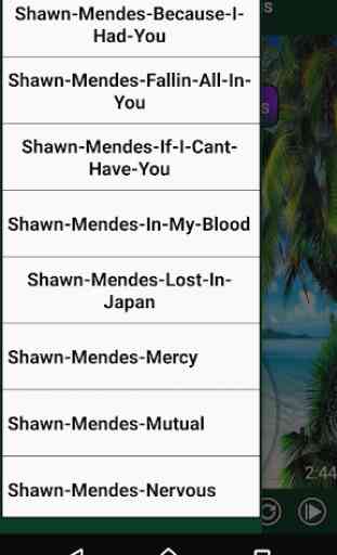 Shawn Mendes - Best Songs 2020 OFFLINE 1