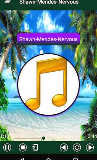 Shawn Mendes - Best Songs 2020 OFFLINE 2
