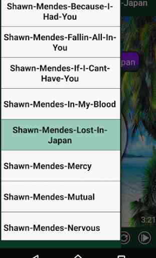 Shawn Mendes - Best Songs 2020 OFFLINE 3