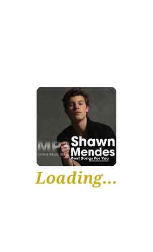Shawn Mendes - Best Songs For You 2