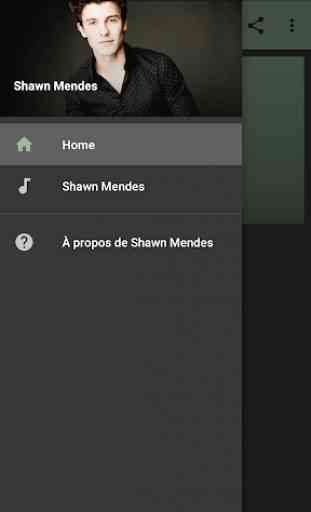 Shawn Mendes mp3 offline 1