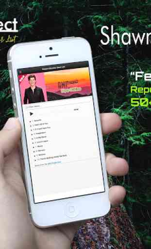 Shawn Mendes Offline Songs 2019 2