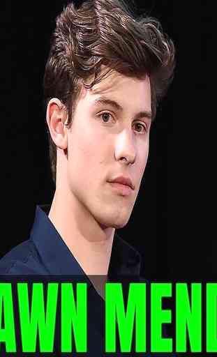 Shawn Mendes - Songs 29 High Quality OFFLINE 1