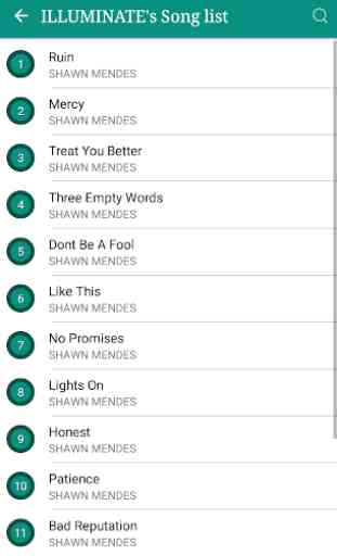 Shawn Mendes Songs Lyrics 1