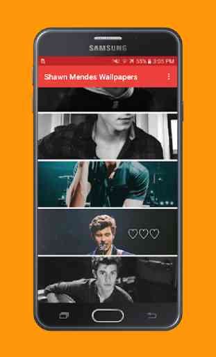 Shawn Mendes Wallpapers 4