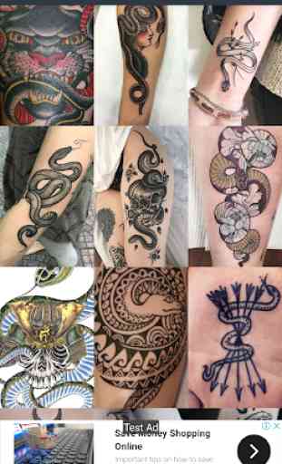 Snake Tattoo Designs 2