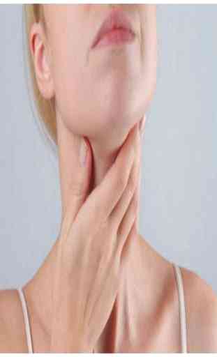 thyroid gland 2
