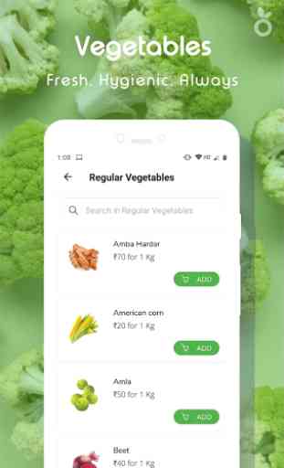 Veggie Factory - Online Vegetables & fruits 1