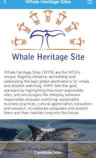 WCA Responsible Whale Watching 3