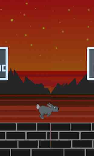 Zippy Bunny || A Bunny Game 2