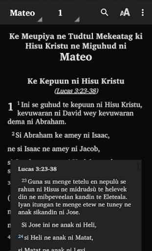 Ilianen Manobo - Bible 4