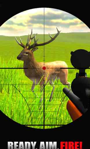Animal Hunter 2014 3D - Sniper Shooting Gun Down Deer, Boar, Fox, Bear & More Simulator Game 1