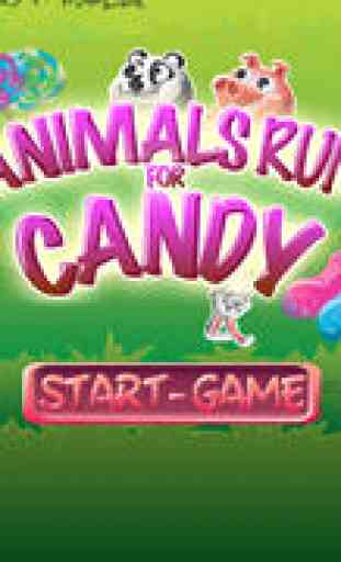 Animals Run For Candy Game -- Dash Through the Forrest to Eat or Crush the Jellybean and Lollipop!!! 2