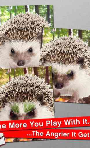 AngryHedgehog Free - The Angry Hedgehog Simulator 3