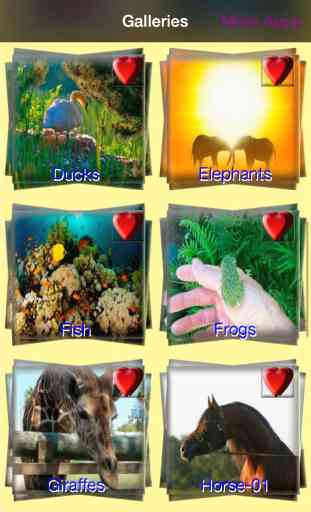 Animals Backgrounds and Wallpapers 1