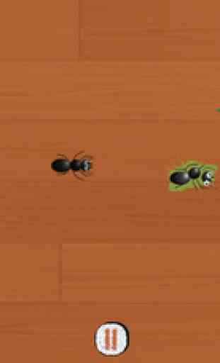 Ant Bug Smasher - Kids Games 4