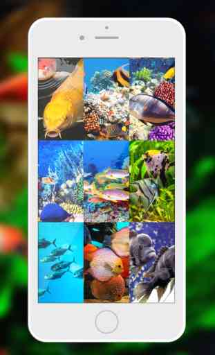 Aquarium Wallpaper – Relax.ing Fish Tank Backgrounds With Beautiful Lock Screen Theme.s 1