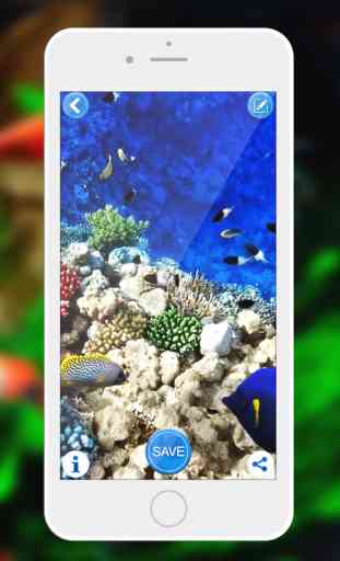 Aquarium Wallpaper – Relax.ing Fish Tank Backgrounds With Beautiful Lock Screen Theme.s 2