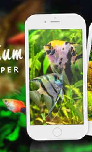 Aquarium Wallpaper – Relax.ing Fish Tank Backgrounds With Beautiful Lock Screen Theme.s 3
