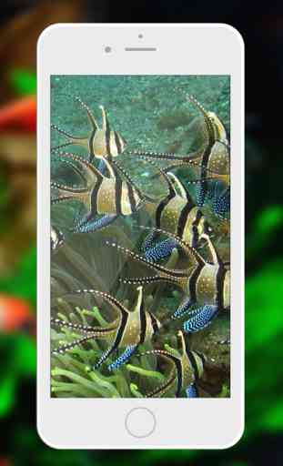 Aquarium Wallpaper – Relax.ing Fish Tank Backgrounds With Beautiful Lock Screen Theme.s 4