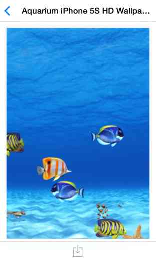 Aquarium HD Wallpaper for iPhone 2