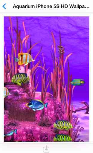 Aquarium HD Wallpaper for iPhone 3