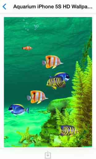 Aquarium HD Wallpaper for iPhone 4