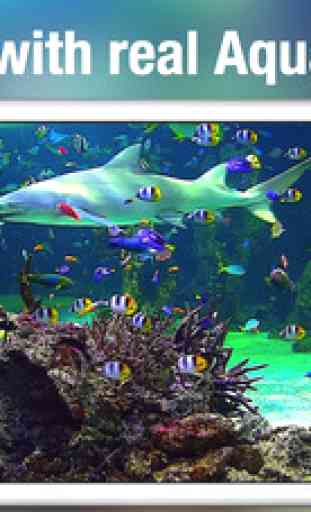 Aquarium Live +: Nature & coral reef ocean scenes 3