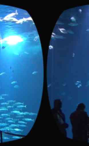 Aquarium Videos VR 3