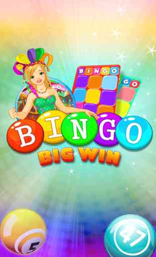 Bingo Big Win Pro 1