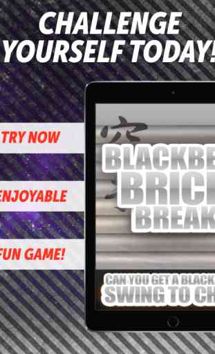 Blackbelt Brick Break 2