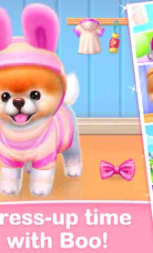 Boo - The World's Cutest Dog Game! 2