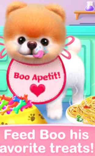 Boo - The World's Cutest Dog Game! 3