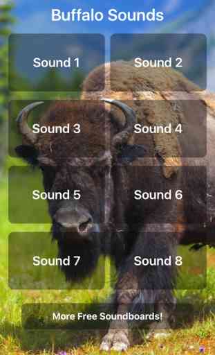 Buffalo Sounds! 1