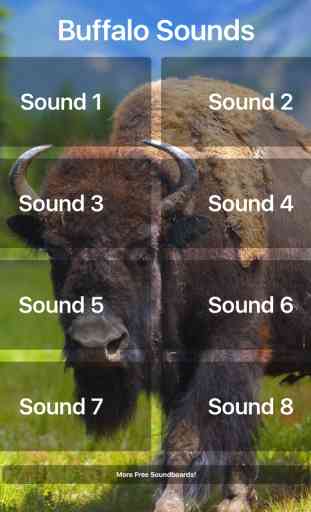Buffalo Sounds! 2