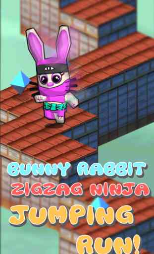 Bunny Rabbit Ninja Jumping Run 3D - Endless animal run 1