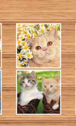 Cat Jigsaw Puzzles HD - Easy Jigsaw Puzzles Games for Kids Free 2