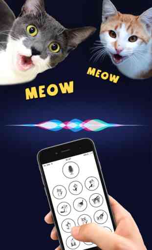 Cat Translator - Human-to-cat Communicator 1