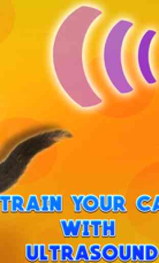 Cat whistle training - ultrasound simulator 1