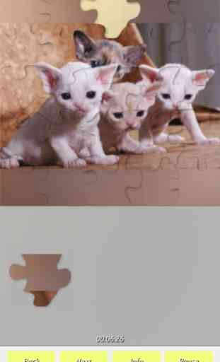 Cats - Jigsaw Puzzles 2